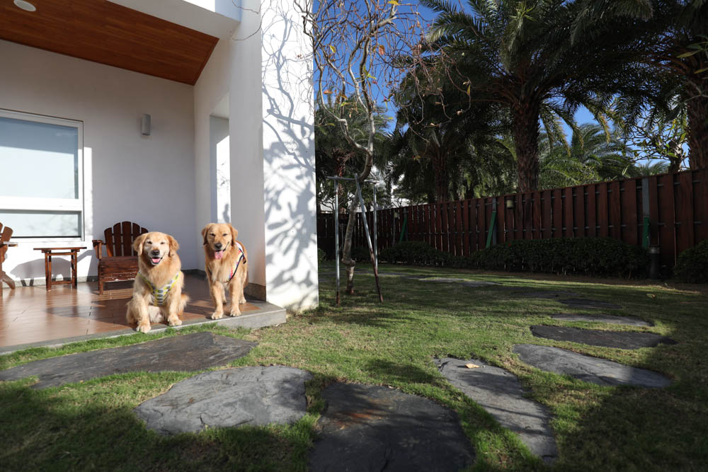 屏東墾丁|墾丁海灣森林精品民宿。寵物專屬庭院房型、擁抱白砂灣海灣、山林美景、墾丁五星級飯店等級的精緻旅宿 - 第19張圖 屏東墾丁|墾丁海灣森林精品民宿。寵物專屬庭院房型、擁抱白砂灣海灣、山林美景、墾丁五星級飯店等級的精緻旅宿