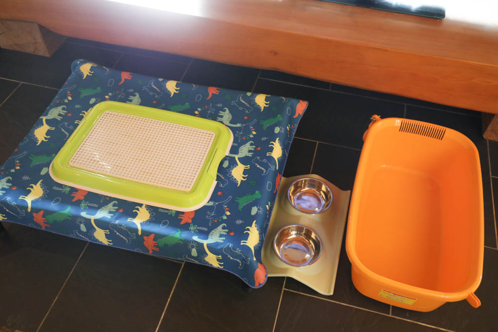 屏東墾丁|墾丁海灣森林精品民宿。寵物專屬庭院房型、擁抱白砂灣海灣、山林美景、墾丁五星級飯店等級的精緻旅宿 - 第32張圖 屏東墾丁|墾丁海灣森林精品民宿。寵物專屬庭院房型、擁抱白砂灣海灣、山林美景、墾丁五星級飯店等級的精緻旅宿