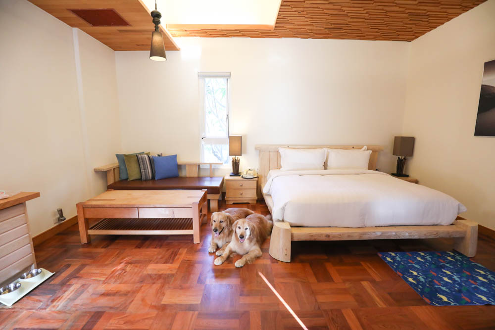 屏東墾丁|墾丁海灣森林精品民宿。寵物專屬庭院房型、擁抱白砂灣海灣、山林美景、墾丁五星級飯店等級的精緻旅宿 - 第21張圖 屏東墾丁|墾丁海灣森林精品民宿。寵物專屬庭院房型、擁抱白砂灣海灣、山林美景、墾丁五星級飯店等級的精緻旅宿