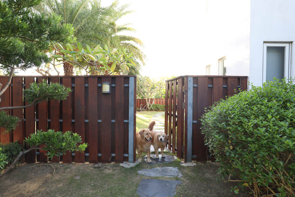 屏東墾丁|墾丁海灣森林精品民宿。寵物專屬庭院房型、擁抱白砂灣海灣、山林美景、墾丁五星級飯店等級的精緻旅宿 - 第15張圖 屏東墾丁|墾丁海灣森林精品民宿。寵物專屬庭院房型、擁抱白砂灣海灣、山林美景、墾丁五星級飯店等級的精緻旅宿