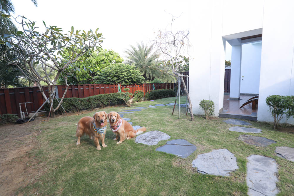 屏東墾丁|墾丁海灣森林精品民宿。寵物專屬庭院房型、擁抱白砂灣海灣、山林美景、墾丁五星級飯店等級的精緻旅宿 - 第18張圖 屏東墾丁|墾丁海灣森林精品民宿。寵物專屬庭院房型、擁抱白砂灣海灣、山林美景、墾丁五星級飯店等級的精緻旅宿