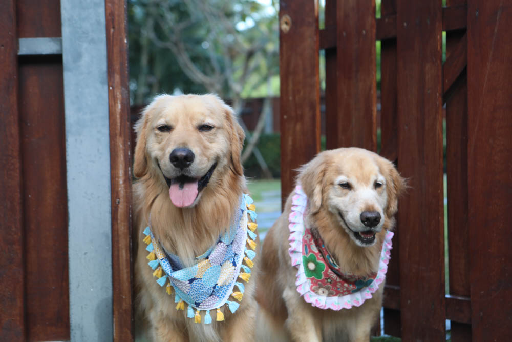 屏東墾丁|墾丁海灣森林精品民宿。寵物專屬庭院房型、擁抱白砂灣海灣、山林美景、墾丁五星級飯店等級的精緻旅宿 - 第16張圖 屏東墾丁|墾丁海灣森林精品民宿。寵物專屬庭院房型、擁抱白砂灣海灣、山林美景、墾丁五星級飯店等級的精緻旅宿