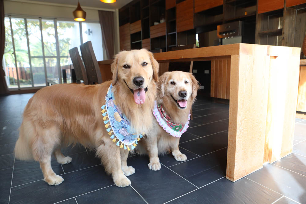 屏東墾丁|墾丁海灣森林精品民宿。寵物專屬庭院房型、擁抱白砂灣海灣、山林美景、墾丁五星級飯店等級的精緻旅宿 - 第50張圖 屏東墾丁|墾丁海灣森林精品民宿。寵物專屬庭院房型、擁抱白砂灣海灣、山林美景、墾丁五星級飯店等級的精緻旅宿