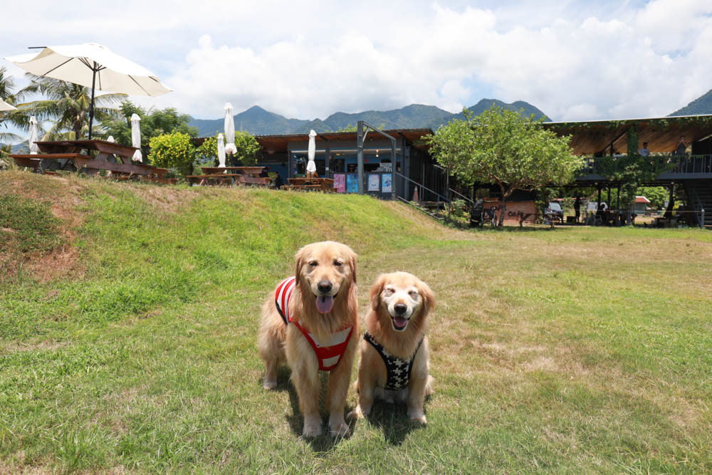 台東海景景觀餐廳|都蘭海角咖啡。寵物友善餐廳、絕美看海餐廳、大草皮、西班牙異國料理!! - 第24張圖 台東海景景觀餐廳|都蘭海角咖啡。寵物友善餐廳、絕美看海餐廳、大草皮、西班牙異國料理!!