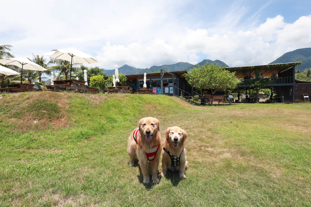 台東海景景觀餐廳|都蘭海角咖啡。寵物友善餐廳、絕美看海餐廳、大草皮、西班牙異國料理!! - 第2張圖 台東海景景觀餐廳|都蘭海角咖啡。寵物友善餐廳、絕美看海餐廳、大草皮、西班牙異國料理!!