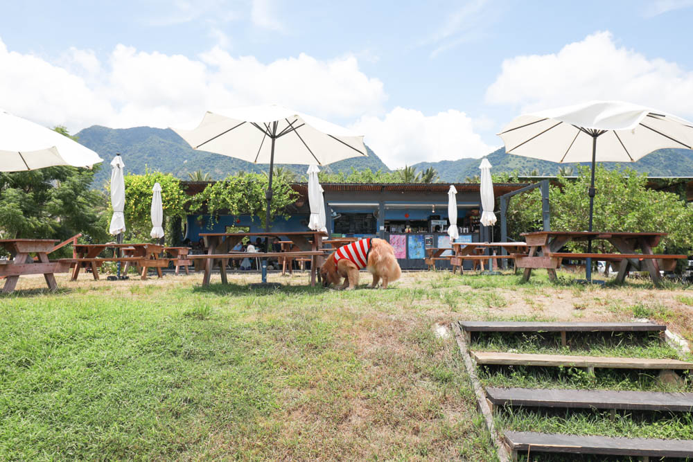 台東海景景觀餐廳|都蘭海角咖啡。寵物友善餐廳、絕美看海餐廳、大草皮、西班牙異國料理!! - 第6張圖 台東海景景觀餐廳|都蘭海角咖啡。寵物友善餐廳、絕美看海餐廳、大草皮、西班牙異國料理!!