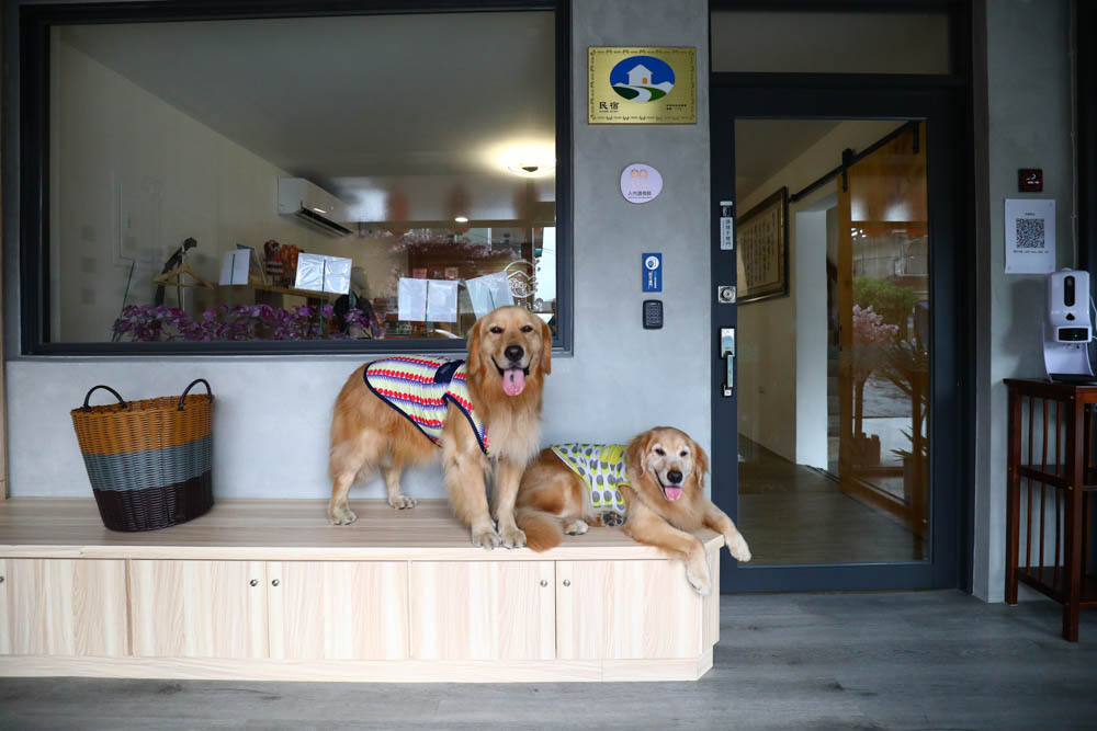 宜蘭壯圍｜海邊民宿Hibnb Guesthouse。寵物友善民宿、燒鳥居酒屋、Q萌柴柴神社、濃濃日式風情、距離秘境海灘走路2分鐘、龜山島
