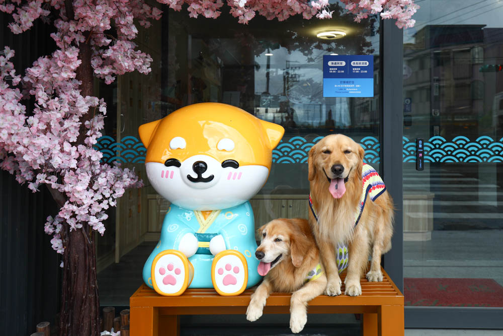 宜蘭壯圍｜海邊民宿Hibnb Guesthouse。寵物友善民宿、燒鳥居酒屋、Q萌柴柴神社、濃濃日式風情、距離秘境海灘走路2分鐘、龜山島