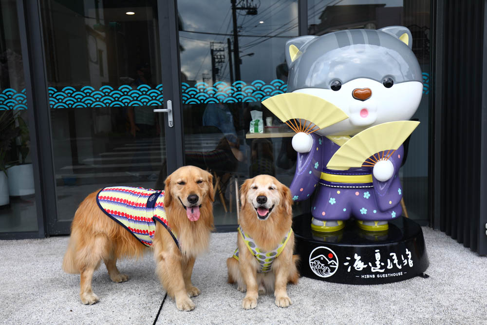 宜蘭壯圍｜海邊民宿Hibnb Guesthouse。寵物友善民宿、燒鳥居酒屋、Q萌柴柴神社、濃濃日式風情、距離秘境海灘走路2分鐘、龜山島