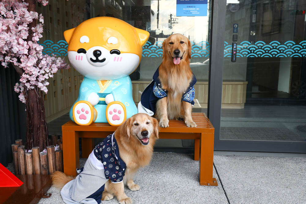 宜蘭壯圍｜海邊民宿Hibnb Guesthouse。寵物友善民宿、燒鳥居酒屋、Q萌柴柴神社、濃濃日式風情、距離秘境海灘走路2分鐘、龜山島