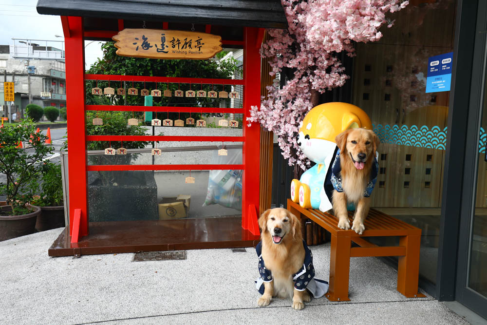 宜蘭壯圍｜海邊民宿Hibnb Guesthouse。寵物友善民宿、燒鳥居酒屋、Q萌柴柴神社、濃濃日式風情、距離秘境海灘走路2分鐘、龜山島