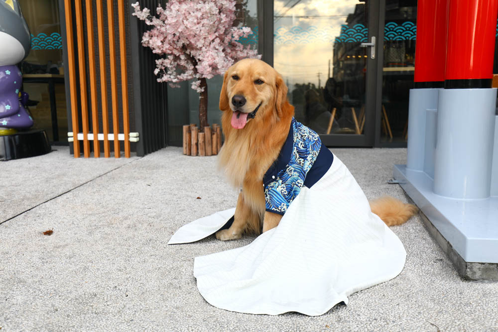 宜蘭壯圍｜海邊民宿Hibnb Guesthouse。寵物友善民宿、燒鳥居酒屋、Q萌柴柴神社、濃濃日式風情、距離秘境海灘走路2分鐘、龜山島