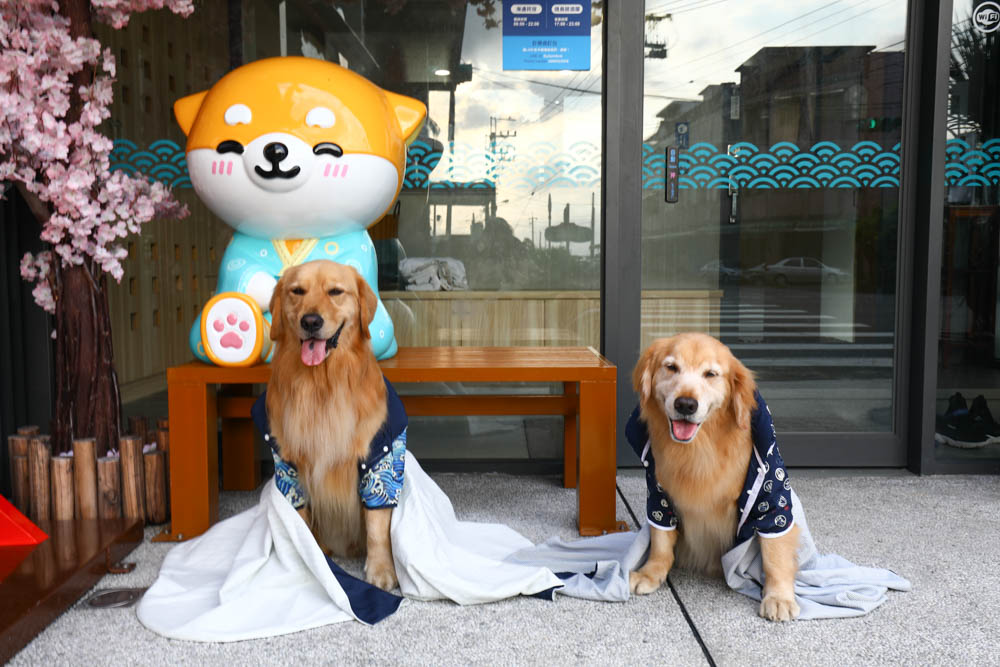 宜蘭壯圍｜海邊民宿Hibnb Guesthouse。寵物友善民宿、燒鳥居酒屋、Q萌柴柴神社、濃濃日式風情、距離秘境海灘走路2分鐘、龜山島