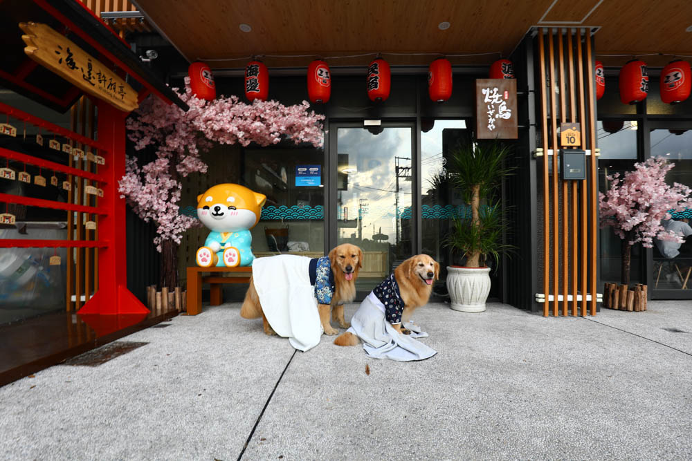 宜蘭壯圍｜海邊民宿Hibnb Guesthouse。寵物友善民宿、燒鳥居酒屋、Q萌柴柴神社、濃濃日式風情、距離秘境海灘走路2分鐘、龜山島