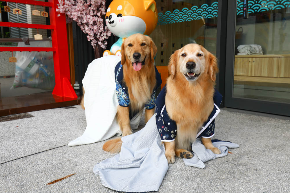 宜蘭壯圍｜海邊民宿Hibnb Guesthouse。寵物友善民宿、燒鳥居酒屋、Q萌柴柴神社、濃濃日式風情、距離秘境海灘走路2分鐘、龜山島