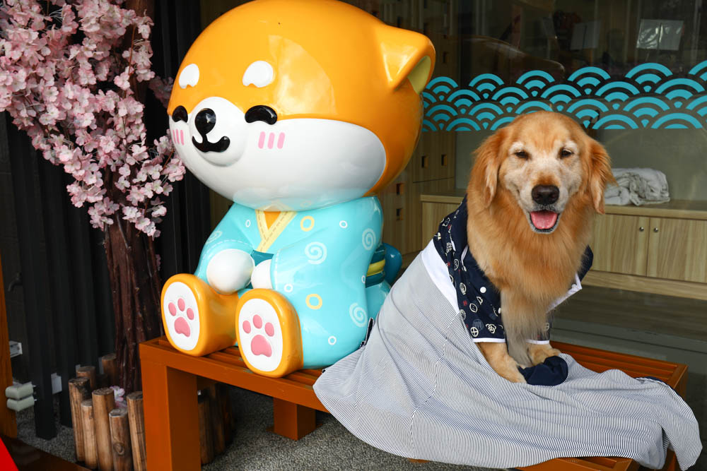 宜蘭壯圍｜海邊民宿Hibnb Guesthouse。寵物友善民宿、燒鳥居酒屋、Q萌柴柴神社、濃濃日式風情、距離秘境海灘走路2分鐘、龜山島