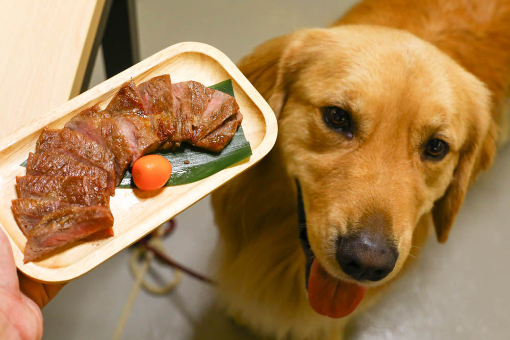 宜蘭壯圍｜海邊民宿Hibnb Guesthouse。寵物友善民宿、燒鳥居酒屋、Q萌柴柴神社、濃濃日式風情、距離秘境海灘走路2分鐘、龜山島