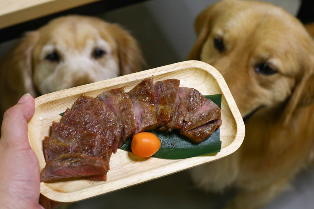宜蘭壯圍｜海邊民宿Hibnb Guesthouse。寵物友善民宿、燒鳥居酒屋、Q萌柴柴神社、濃濃日式風情、距離秘境海灘走路2分鐘、龜山島