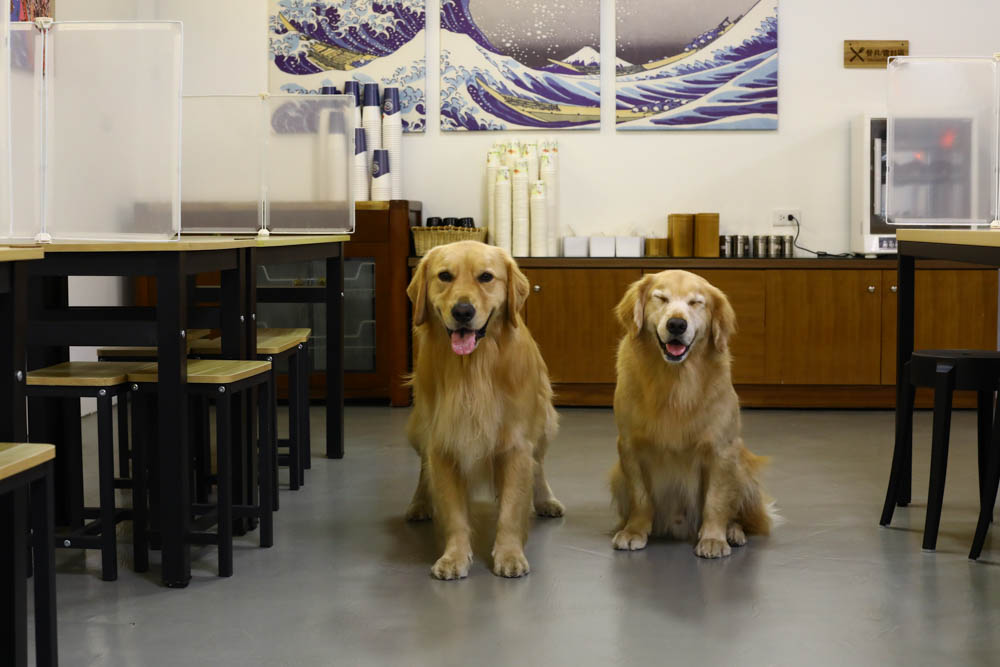 宜蘭壯圍｜海邊民宿Hibnb Guesthouse。寵物友善民宿、燒鳥居酒屋、Q萌柴柴神社、濃濃日式風情、距離秘境海灘走路2分鐘、龜山島