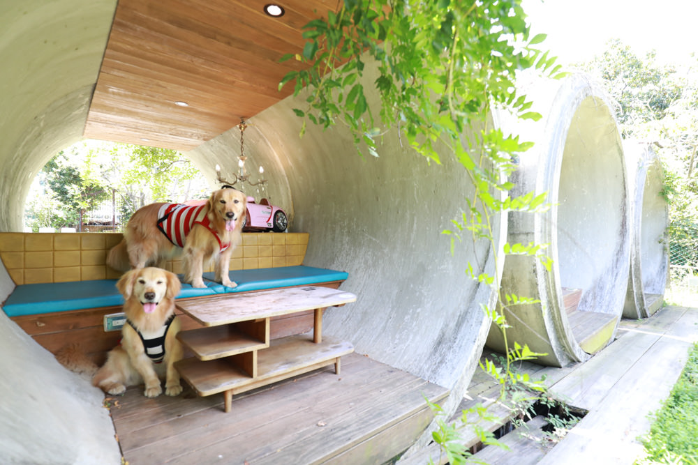 台北淡水美食景點|Binma Area 134玻璃屋咖啡廳。寵物友善餐廳、森林系咖啡廳、攝影基地、網美咖啡廳、淡水天元宮附近 - 第8張圖 台北淡水美食景點|Binma Area 134玻璃屋咖啡廳。寵物友善餐廳、森林系咖啡廳、攝影基地、網美咖啡廳、淡水天元宮附近