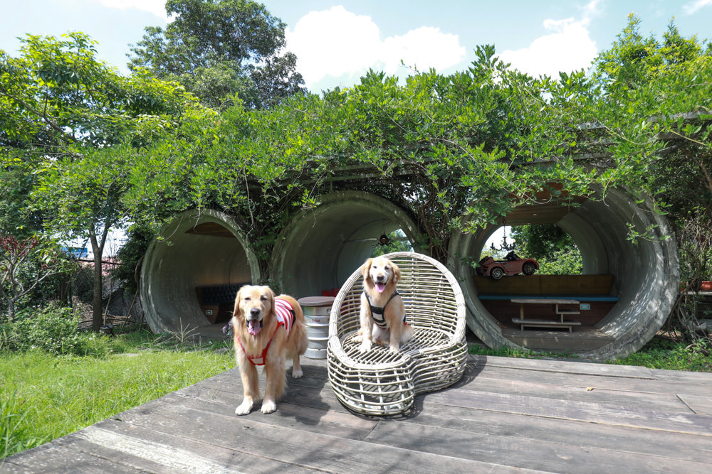 台北淡水美食景點|Binma Area 134玻璃屋咖啡廳。寵物友善餐廳、森林系咖啡廳、攝影基地、網美咖啡廳、淡水天元宮附近 - 第11張圖 台北淡水美食景點|Binma Area 134玻璃屋咖啡廳。寵物友善餐廳、森林系咖啡廳、攝影基地、網美咖啡廳、淡水天元宮附近