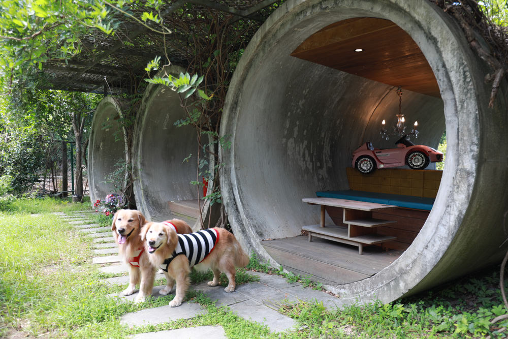 台北淡水美食景點|Binma Area 134玻璃屋咖啡廳。寵物友善餐廳、森林系咖啡廳、攝影基地、網美咖啡廳、淡水天元宮附近 - 第13張圖 台北淡水美食景點|Binma Area 134玻璃屋咖啡廳。寵物友善餐廳、森林系咖啡廳、攝影基地、網美咖啡廳、淡水天元宮附近