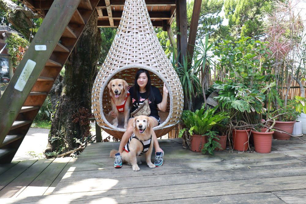 台北淡水美食景點|Binma Area 134玻璃屋咖啡廳。寵物友善餐廳、森林系咖啡廳、攝影基地、網美咖啡廳、淡水天元宮附近 - 第5張圖 台北淡水美食景點|Binma Area 134玻璃屋咖啡廳。寵物友善餐廳、森林系咖啡廳、攝影基地、網美咖啡廳、淡水天元宮附近