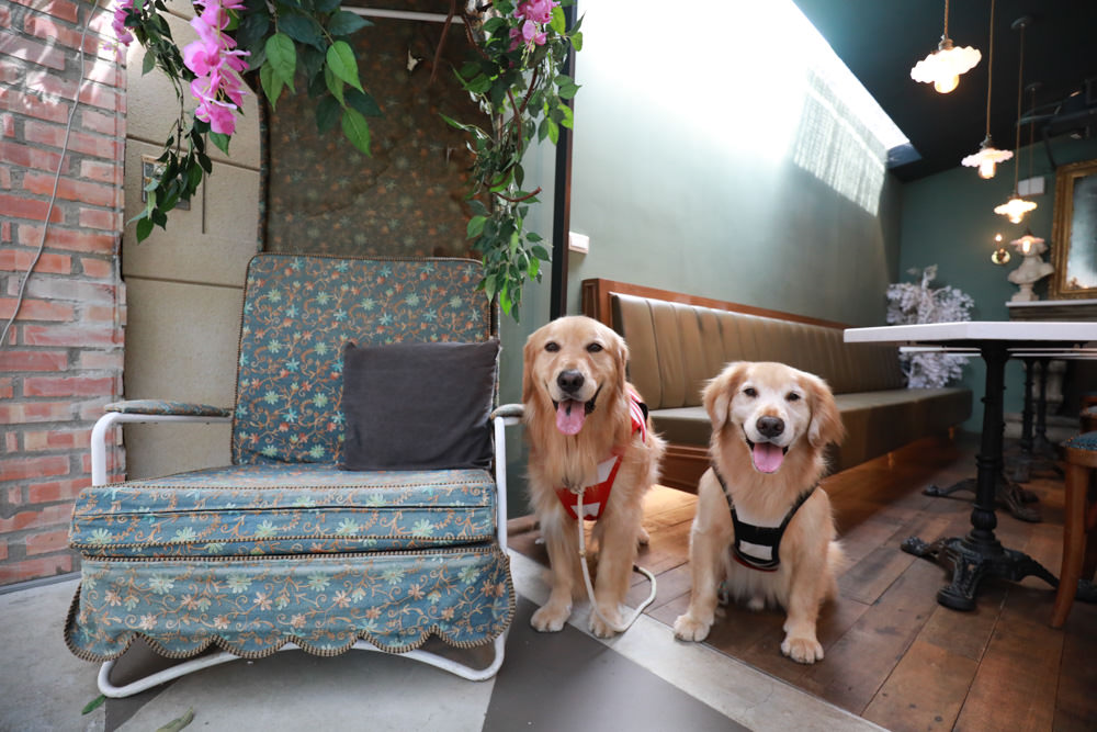 台北淡水美食景點|Binma Area 134玻璃屋咖啡廳。寵物友善餐廳、森林系咖啡廳、攝影基地、網美咖啡廳、淡水天元宮附近 - 第22張圖 台北淡水美食景點|Binma Area 134玻璃屋咖啡廳。寵物友善餐廳、森林系咖啡廳、攝影基地、網美咖啡廳、淡水天元宮附近