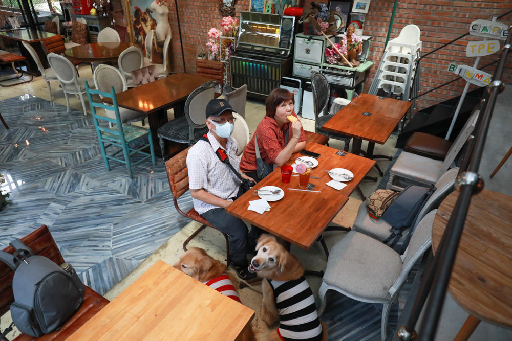 台北淡水美食景點|Binma Area 134玻璃屋咖啡廳。寵物友善餐廳、森林系咖啡廳、攝影基地、網美咖啡廳、淡水天元宮附近 - 第24張圖 台北淡水美食景點|Binma Area 134玻璃屋咖啡廳。寵物友善餐廳、森林系咖啡廳、攝影基地、網美咖啡廳、淡水天元宮附近