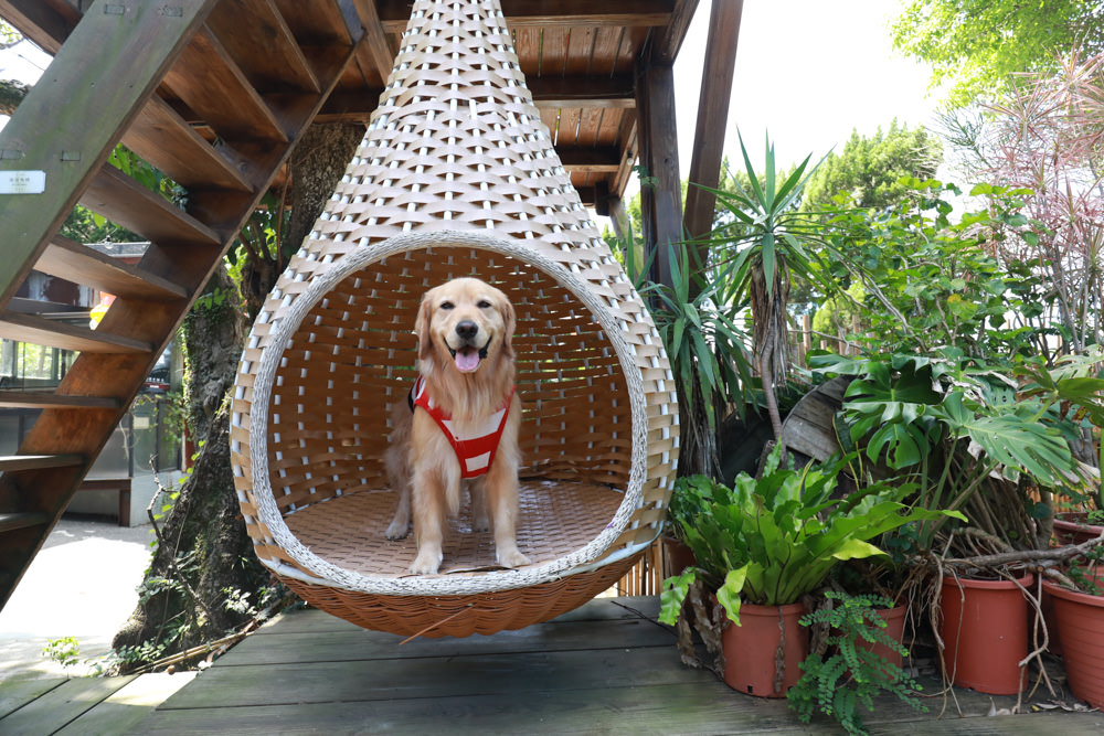 台北淡水美食景點|Binma Area 134玻璃屋咖啡廳。寵物友善餐廳、森林系咖啡廳、攝影基地、網美咖啡廳、淡水天元宮附近 - 第1張圖 台北淡水美食景點|Binma Area 134玻璃屋咖啡廳。寵物友善餐廳、森林系咖啡廳、攝影基地、網美咖啡廳、淡水天元宮附近