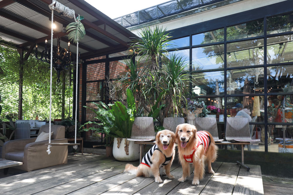 台北淡水美食景點|Binma Area 134玻璃屋咖啡廳。寵物友善餐廳、森林系咖啡廳、攝影基地、網美咖啡廳、淡水天元宮附近 - 第4張圖 台北淡水美食景點|Binma Area 134玻璃屋咖啡廳。寵物友善餐廳、森林系咖啡廳、攝影基地、網美咖啡廳、淡水天元宮附近