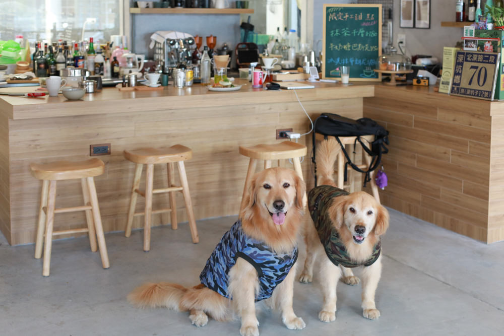 新北深坑美食｜南國深坑。寵物友善餐廳、深坑老街附近的老宅咖啡廳、早午餐、菲律賓炸豬五花肉飯