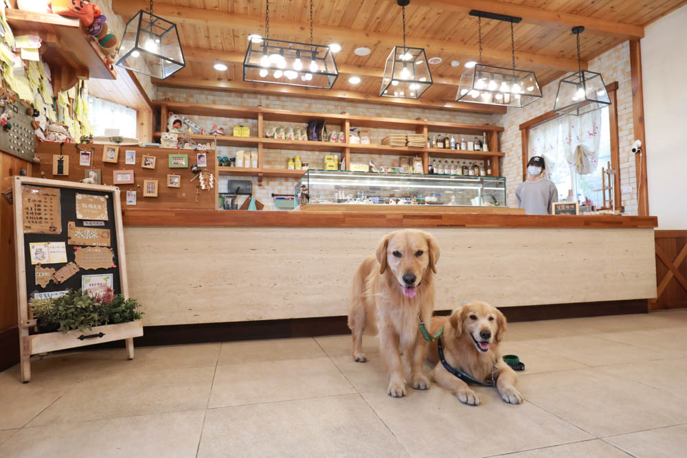 清境蒙塔妮手作甜點｜南投清境美食咖啡廳、清境寵物友善餐廳、超美的歐洲童話小屋、每日手作法式甜點