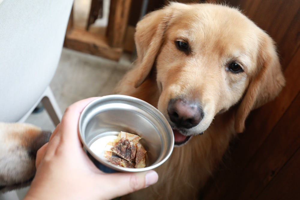 新北三峽美食｜Qm159 清琳咖啡。寵物友善餐廳、從廢墟老屋變身的網美咖啡廳、歐洲古董風格咖啡館