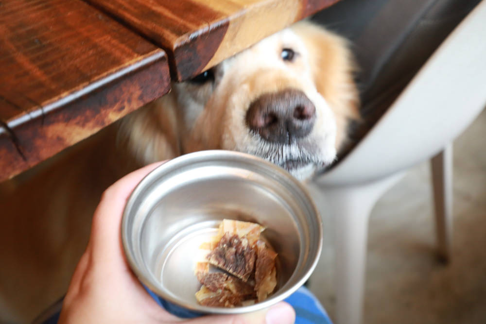 新北三峽美食｜Qm159 清琳咖啡。寵物友善餐廳、從廢墟老屋變身的網美咖啡廳、歐洲古董風格咖啡館