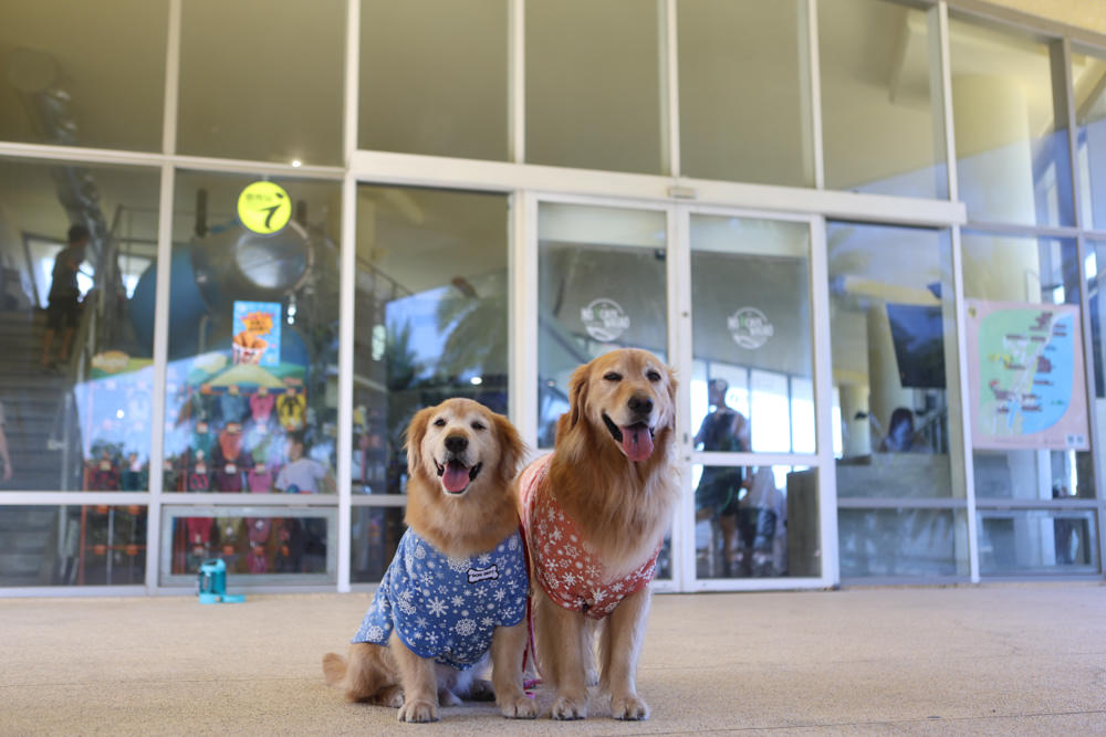 宜蘭頭城景點｜外澳沙灘、外澳服務區、外澳濱海遊憩區、九號咖啡外澳館。擁抱無敵海景、遠眺龜山島美景