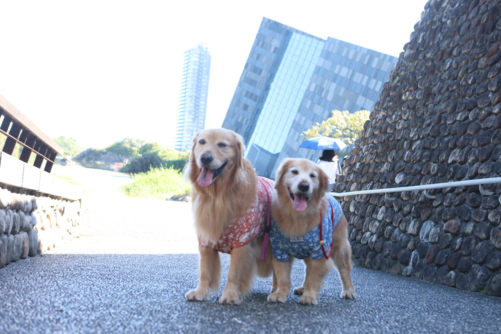 宜蘭頭城景點|蘭陽博物館、蘭博–烏石港驛站。融合當地地景建造出的絕美建築 - 第3張圖 宜蘭頭城景點|蘭陽博物館、蘭博–烏石港驛站。融合當地地景建造出的絕美建築