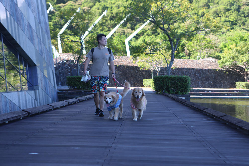 宜蘭頭城景點|蘭陽博物館、蘭博–烏石港驛站。融合當地地景建造出的絕美建築 - 第6張圖 宜蘭頭城景點|蘭陽博物館、蘭博–烏石港驛站。融合當地地景建造出的絕美建築