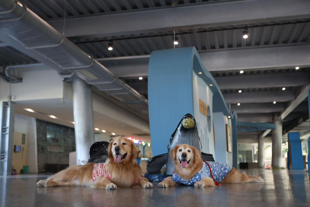 宜蘭頭城景點|蘭陽博物館、蘭博–烏石港驛站。融合當地地景建造出的絕美建築 - 第17張圖 宜蘭頭城景點|蘭陽博物館、蘭博–烏石港驛站。融合當地地景建造出的絕美建築