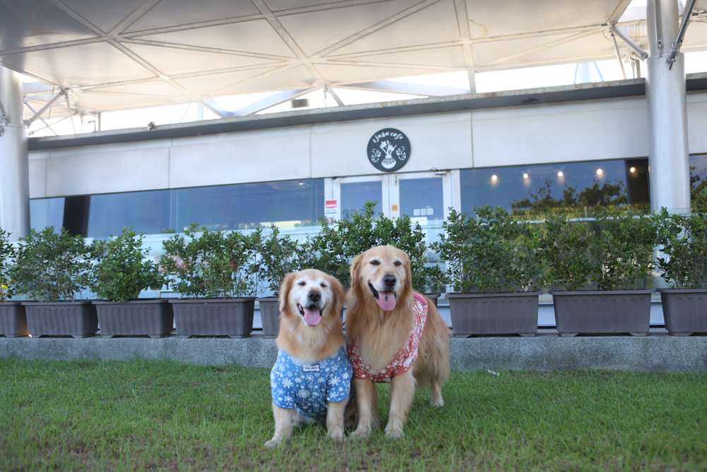 宜蘭頭城景點|蘭陽博物館、蘭博–烏石港驛站。融合當地地景建造出的絕美建築 - 第18張圖 宜蘭頭城景點|蘭陽博物館、蘭博–烏石港驛站。融合當地地景建造出的絕美建築