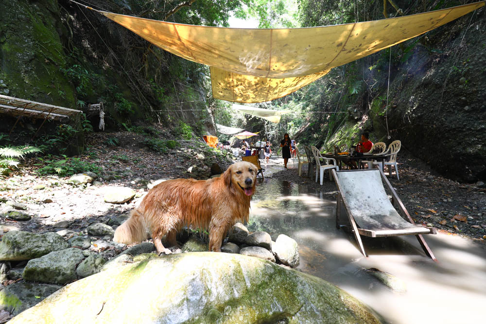 花蓮｜嘻餐町溪畔餐桌。浮誇峽谷下午茶、網美鞦韆吊床、漫步清澈溪流中溯溪、豐盛多元化的美味佳餚、還有窯烤披薩DIY