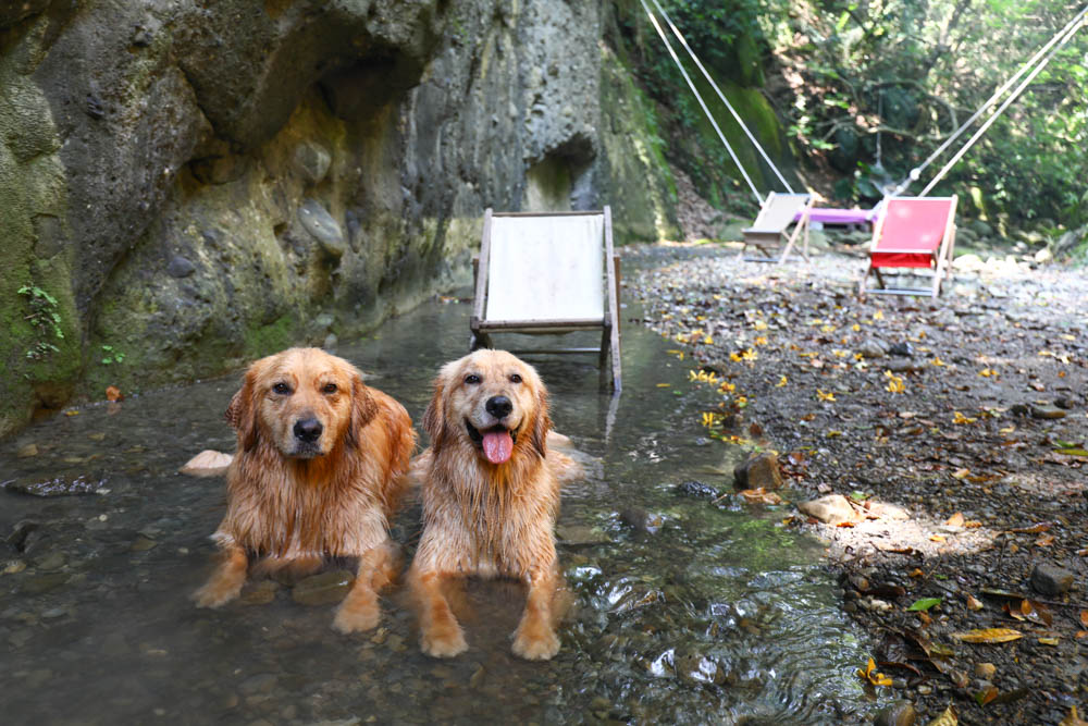 花蓮｜嘻餐町溪畔餐桌。浮誇峽谷下午茶、網美鞦韆吊床、漫步清澈溪流中溯溪、豐盛多元化的美味佳餚、還有窯烤披薩DIY