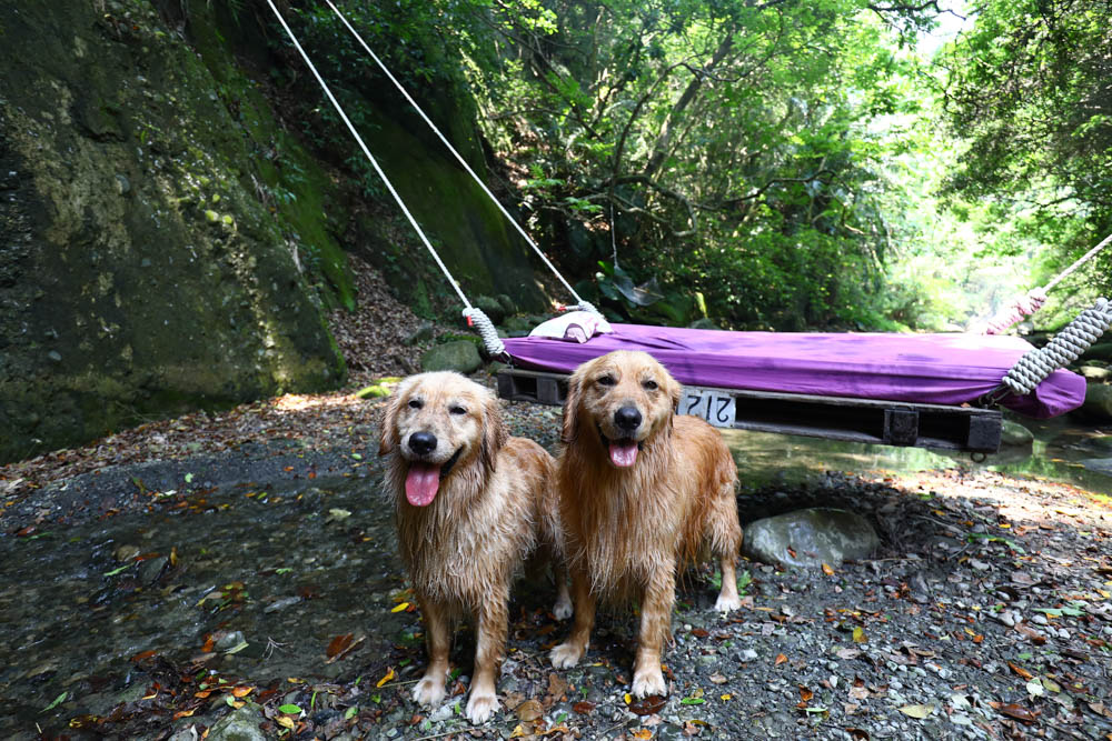 花蓮｜嘻餐町溪畔餐桌。浮誇峽谷下午茶、網美鞦韆吊床、漫步清澈溪流中溯溪、豐盛多元化的美味佳餚、還有窯烤披薩DIY