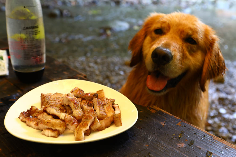 花蓮｜嘻餐町溪畔餐桌。浮誇峽谷下午茶、網美鞦韆吊床、漫步清澈溪流中溯溪、豐盛多元化的美味佳餚、還有窯烤披薩DIY