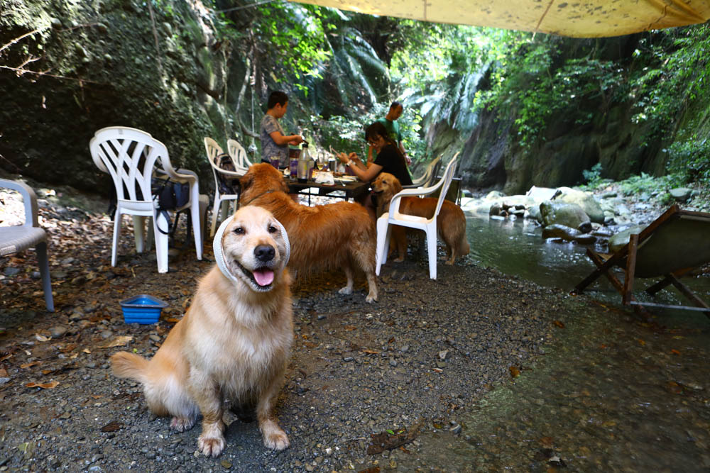 花蓮｜嘻餐町溪畔餐桌。浮誇峽谷下午茶、網美鞦韆吊床、漫步清澈溪流中溯溪、豐盛多元化的美味佳餚、還有窯烤披薩DIY