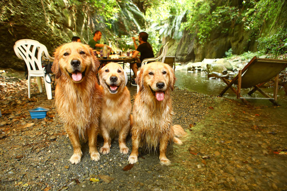 花蓮｜嘻餐町溪畔餐桌。浮誇峽谷下午茶、網美鞦韆吊床、漫步清澈溪流中溯溪、豐盛多元化的美味佳餚、還有窯烤披薩DIY