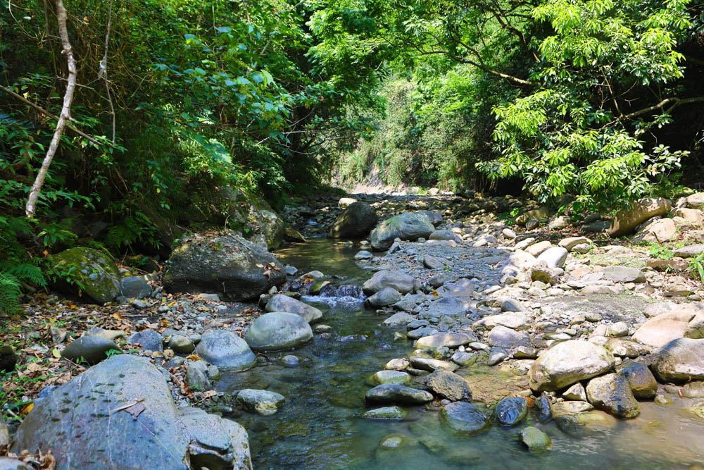 花蓮｜嘻餐町溪畔餐桌。浮誇峽谷下午茶、網美鞦韆吊床、漫步清澈溪流中溯溪、豐盛多元化的美味佳餚、還有窯烤披薩DIY