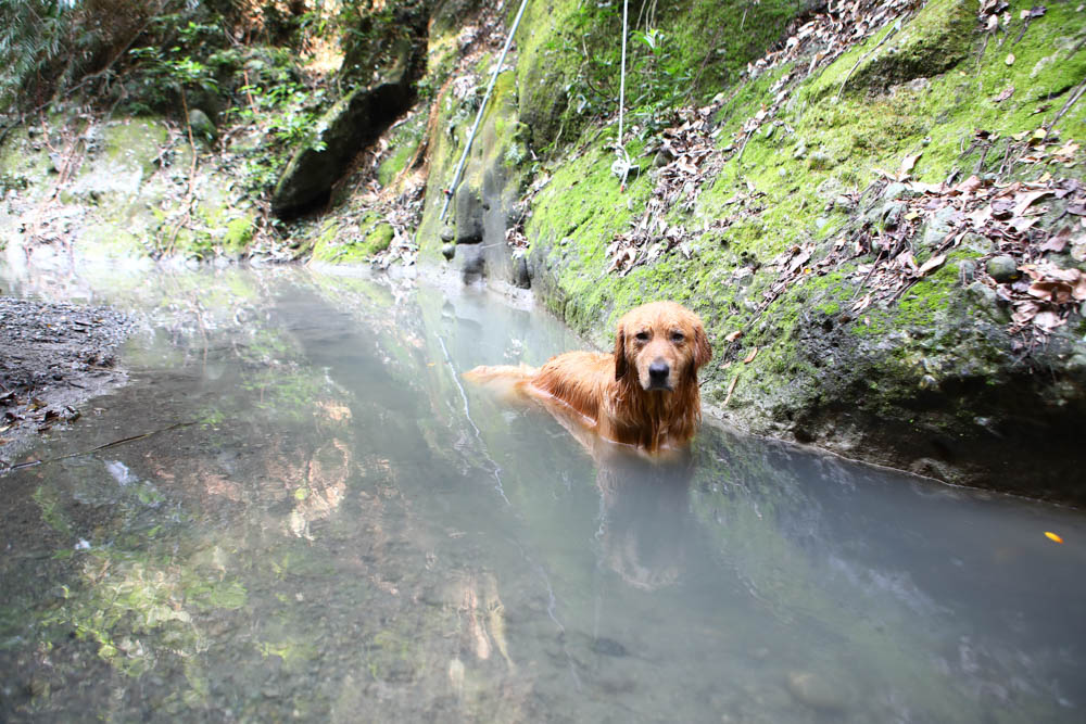 花蓮｜嘻餐町溪畔餐桌。浮誇峽谷下午茶、網美鞦韆吊床、漫步清澈溪流中溯溪、豐盛多元化的美味佳餚、還有窯烤披薩DIY