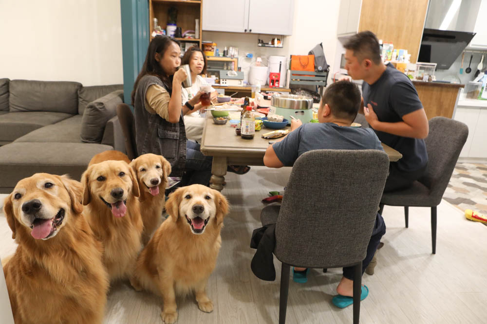 團購Arlink鍋主任｜ALRINK多功能升降火鍋全新5秒自動升降 。2021必備家電、明星網紅狂推、一機抵多機、還可以燒烤！