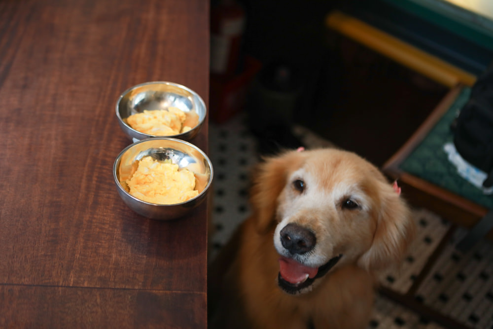 台北大安美食|炭波波喫茶。日本昭和懷舊復古咖啡廳、寵物友善餐廳、公館台大商圈美食 - 第23張圖 台北大安美食|炭波波喫茶。日本昭和懷舊復古咖啡廳、寵物友善餐廳、公館台大商圈美食